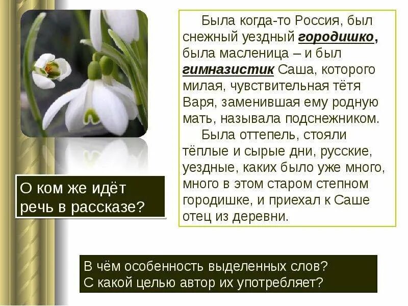 Бунин подснежник содержание. Рассказ подснежник бунин. раскат бунина подснежник. бунин подснежник план.