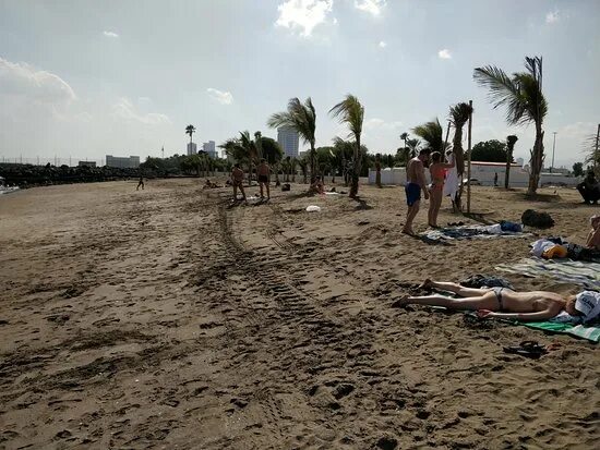 Температура воды в фуджейре в апреле. Фуджейра пляж Umbrella. Пляж Амбрелла Бич Фуджейра. Песчаный пляж Umbrella Фуджейра.