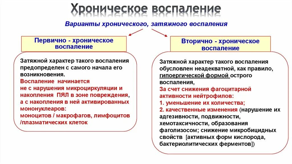 Патогенез хронического воспаления патанатомия. Характеристика продуктивного воспаления. Патогенез первично хронического воспаления. Хроническая форма воспаления. Основные формы воспаления.