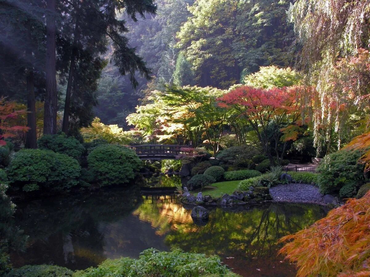 Пейзажный сад Японии. Японские сады Hamilton Gardens. Японский сад в Портленде. Сады времен значение