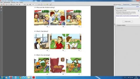 Starters pdf