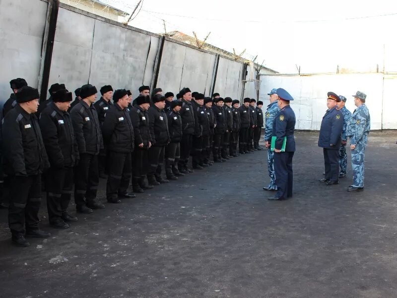 Исправительная колония строгого режима. Фку ик 2 воронеж. Ик 7 г ржев тверской области. Исправительные центры фсин. Птр режима для осужденных.