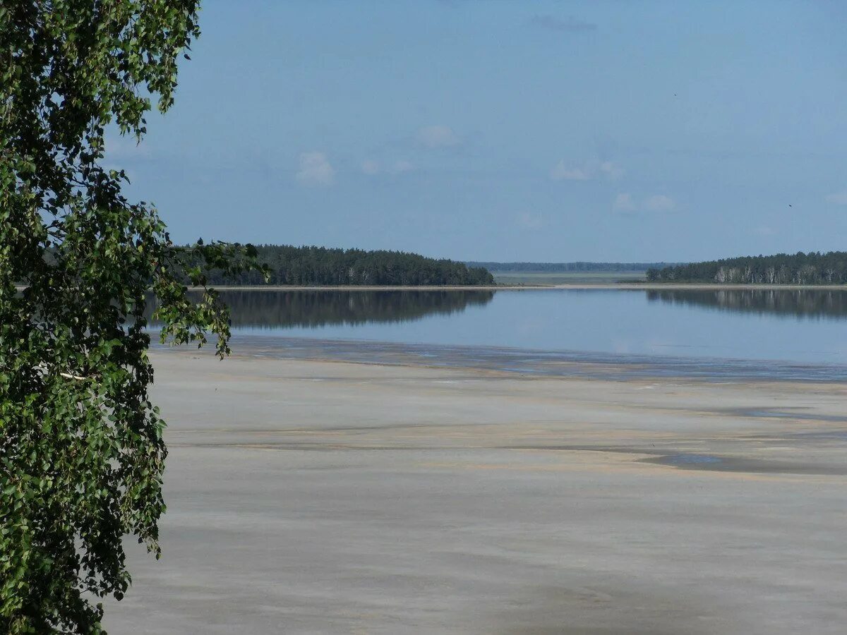 Озеро Медвежье Курганская. Озеро Медвежье Курган. Петухово озеро Медвежье. Курорт озеро Медвежье Курганская область. Мертвое озеро курганская область