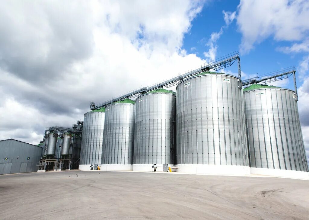 церковь село мокрое липецкая. мокрое липецкая область. мокрое липецкая область. церковь село мокрое липецкая. заброшенная церковь хутор петровский.