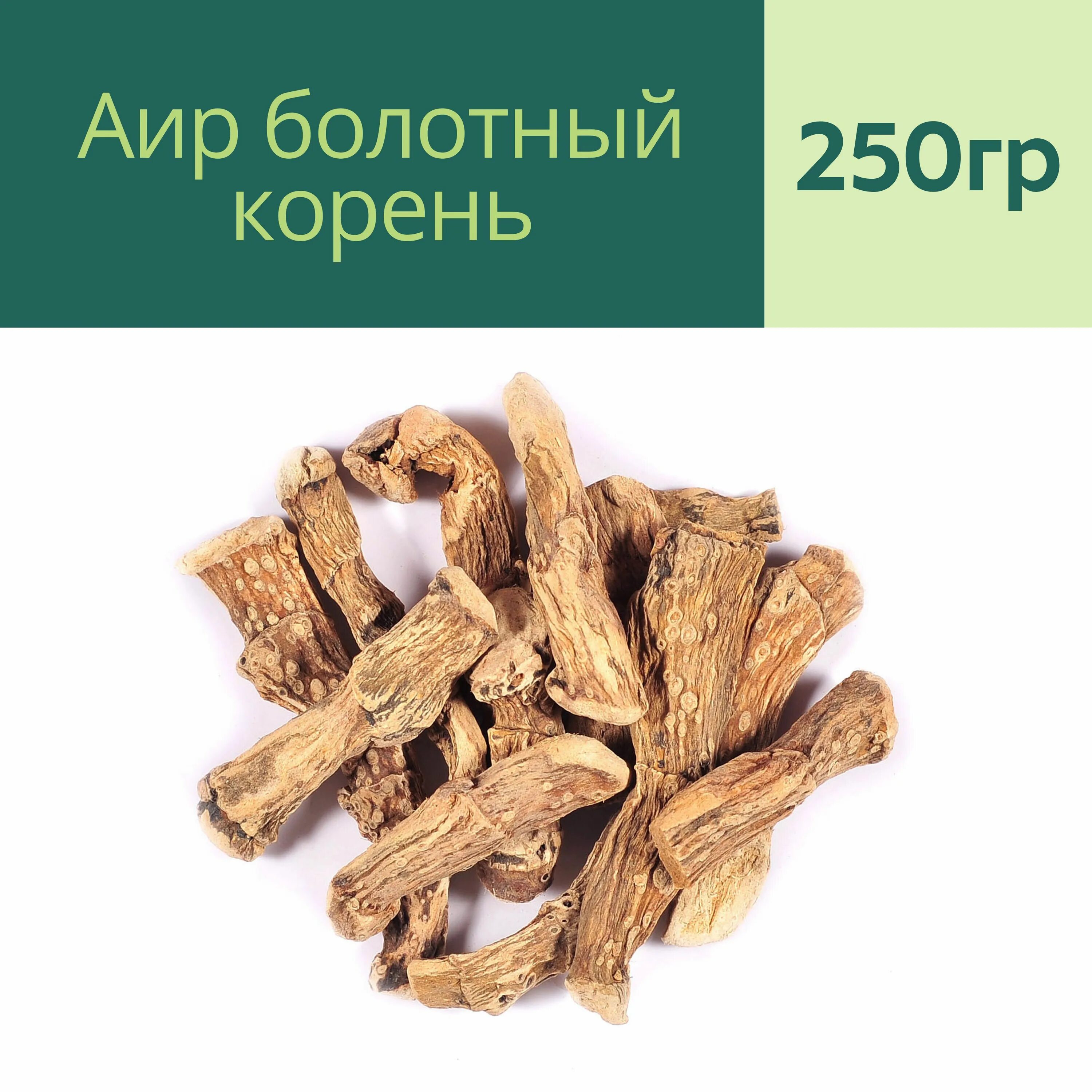 Болотный корень 3. Аир болотный (acorus calamus). Сабельник корень. Сабельник корневища. Аир болотный корень.
