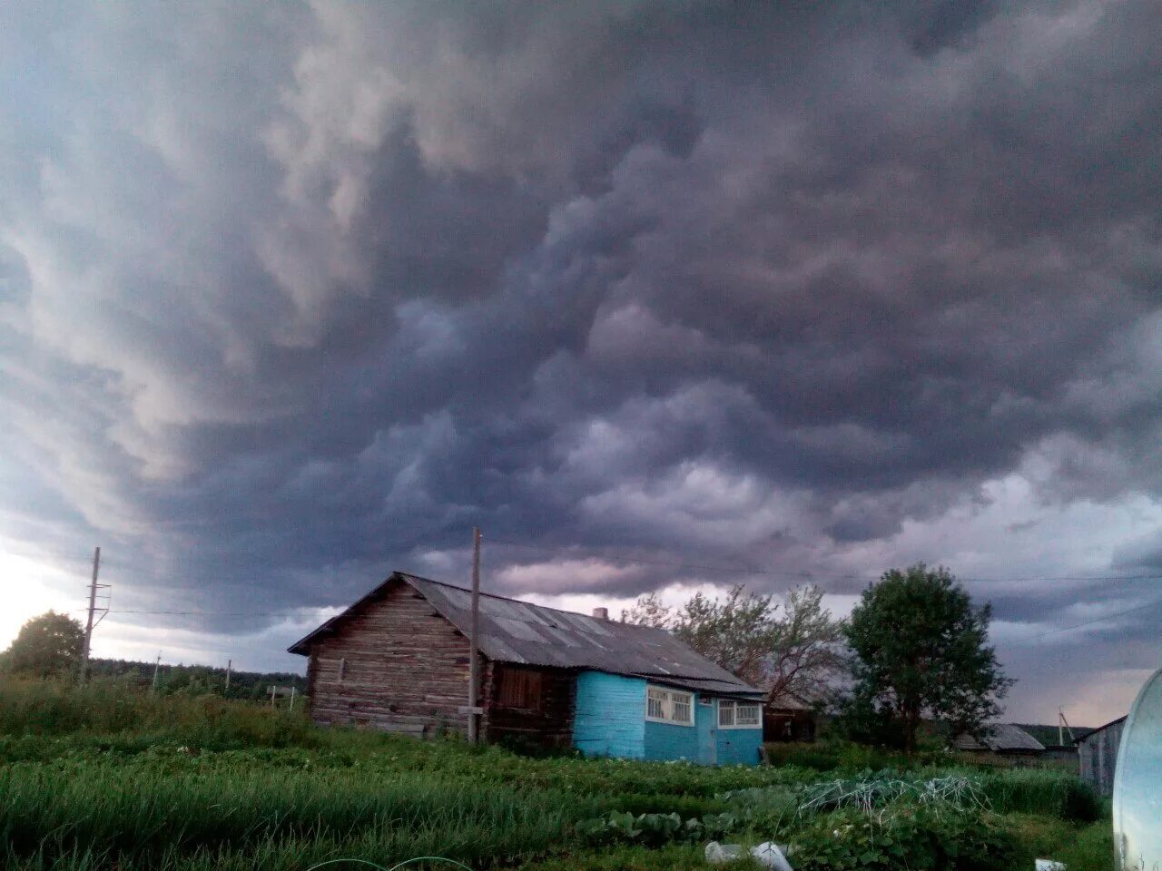 Погода в село питерское. Деревня Ломбовож. Деревня Сартынья. Деревня Ломбовож Шишкинские чтение.