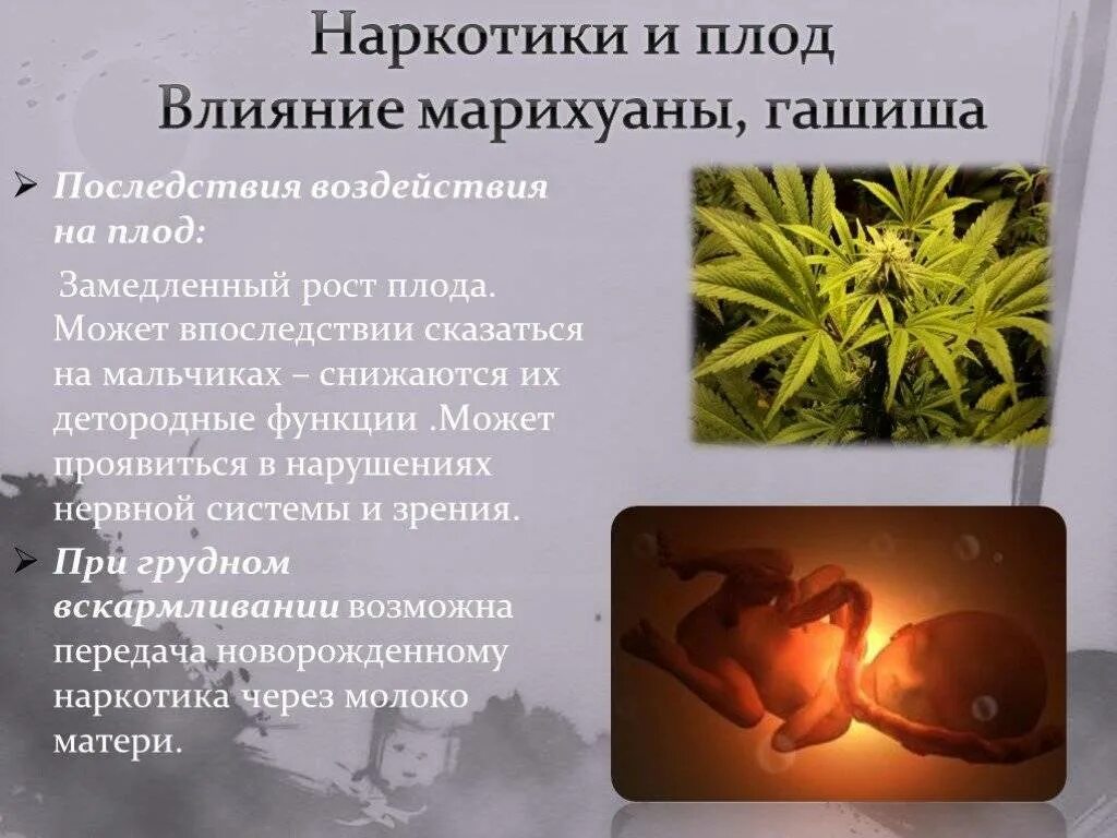 Никотин и плод. Наркотики влияние на плод. Влияние марихуаны на плод. Воздействие наркотиков на плод. Влияние марихуаны на репродуктивную систему.