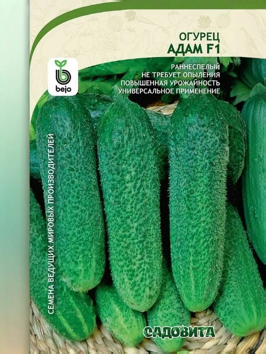 Куст огурца Адам F1