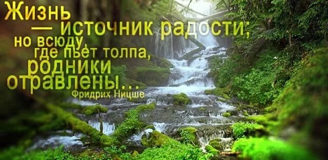 Жизнь источник радости но всюду где пьет толпа Родники отравлены. Источник жизни. Там где пьет толпа Родники отравлены. Жизнь источник радости картинки с надписями. Жизненный источник это