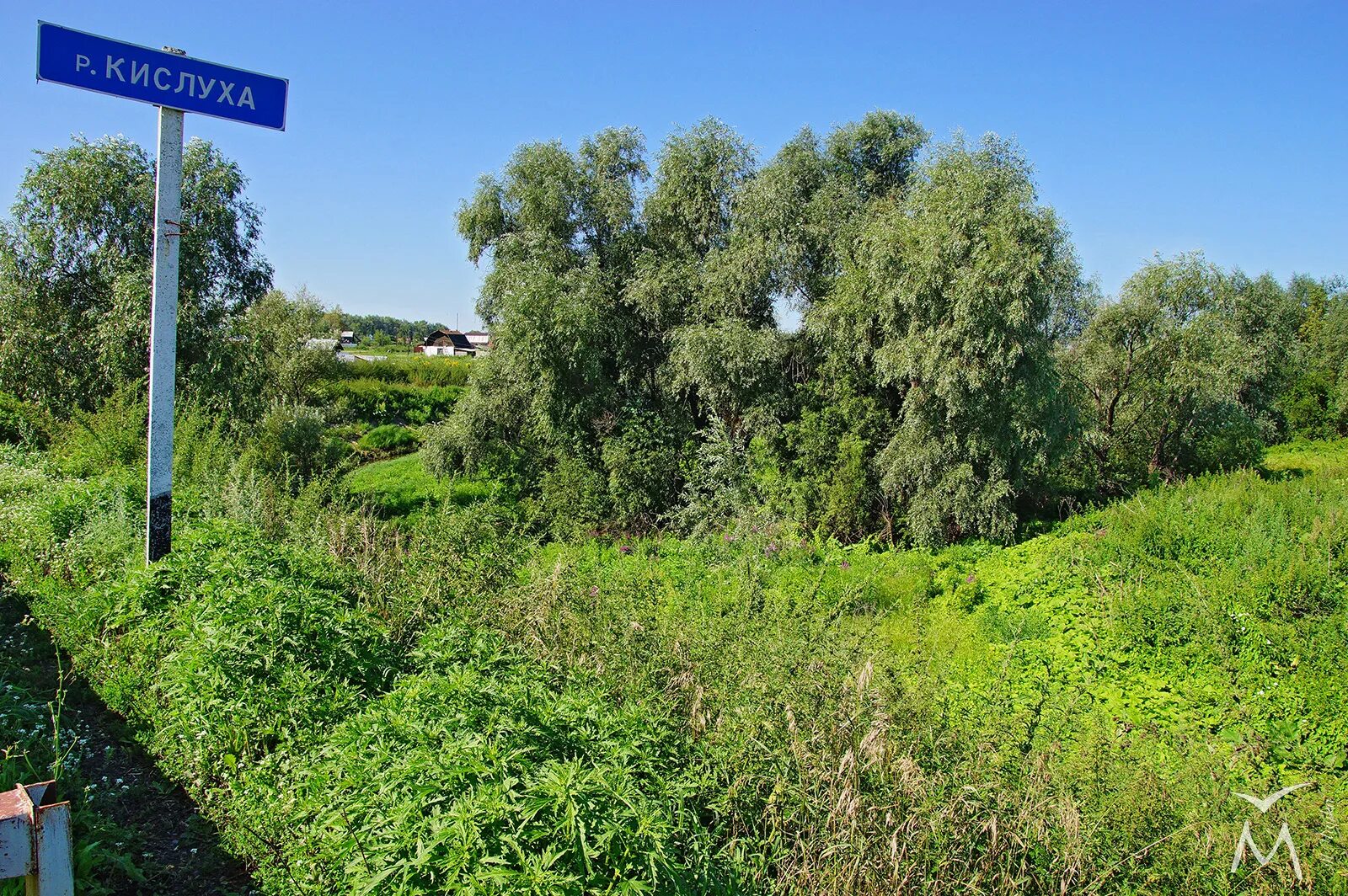 Село Повалиха Алтайский край. Станция Повалиха Алтайский край. Деревня Кислуха. Алтайский край Первомайский район село Повалиха. Погода повалиха алтайский край