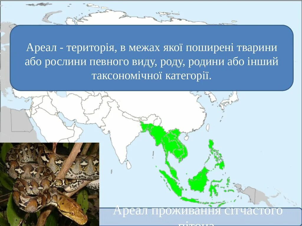 Ареал. Ареалы обитания животных. Сплошной ареал обитания. Виды ареалов.