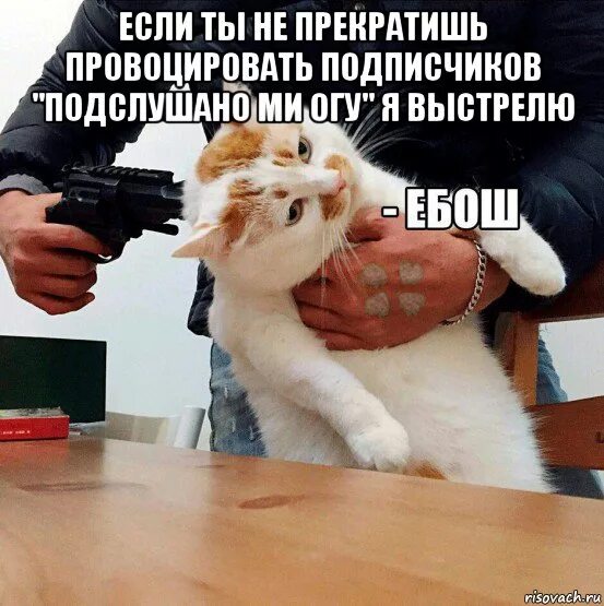 Стреляющие камни книга. Песня нужен стреляй. В атаку прикол. Песня нужен стреляй. Переверни календарь.