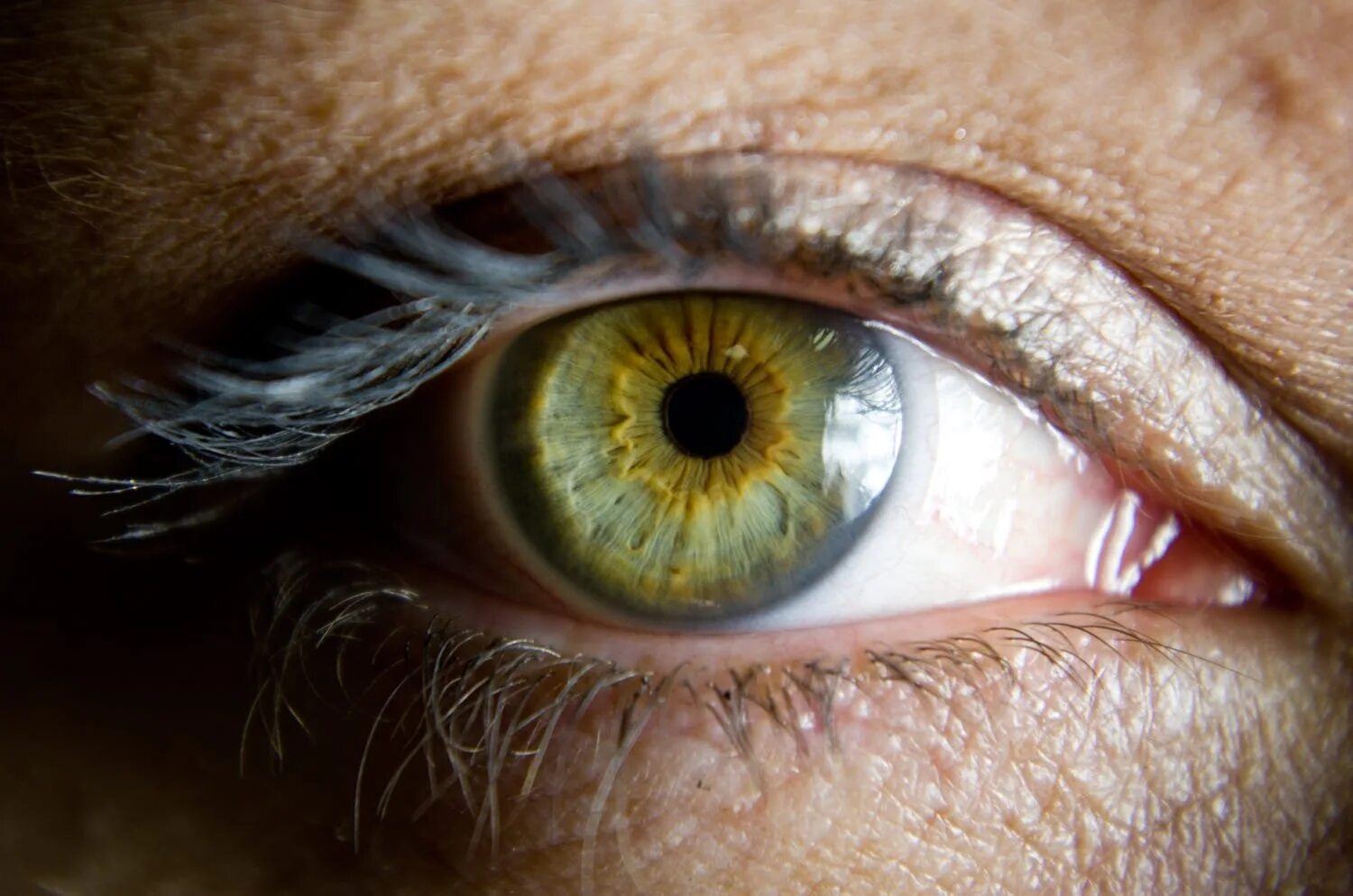 Желтый свет в глазах. Центральная гетерохромия глаз. Болотный цвет глаз гетерохромия. Центральная гетерохромия хамелеон. Центральная гетерохромия зеленый Карий.