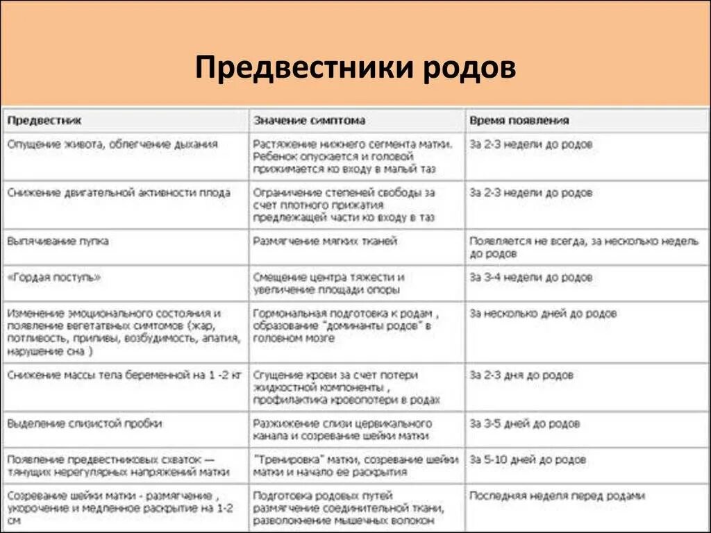 За сколько начинаются тренировочные схватки до родов