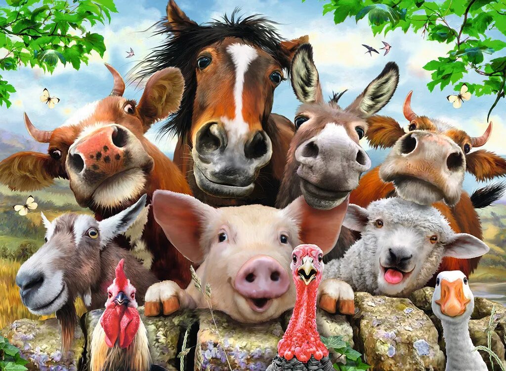 Сх животные. Плакат ферма. Реклама фермерского хозяйства. Реклама яиц куриных. "скотный двор" джорджа оруэлла.