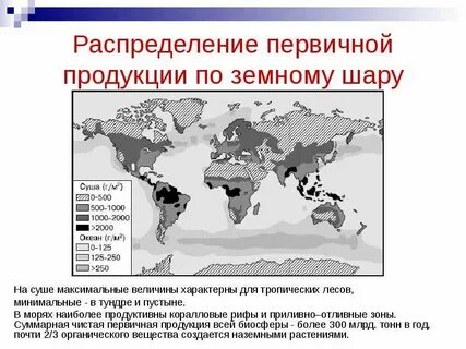 Распределение первичной продукции