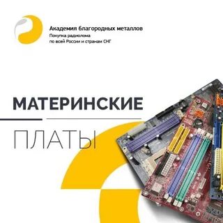 Академия благородных