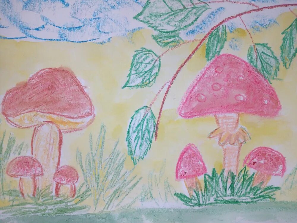 Грибы подготовительная группа. Рисование грибы в старшей группе. Рисование грибная Поляна подготовительная группа. Детские рисунки на свободную тему. Рисование грибы в подготовительной группе.