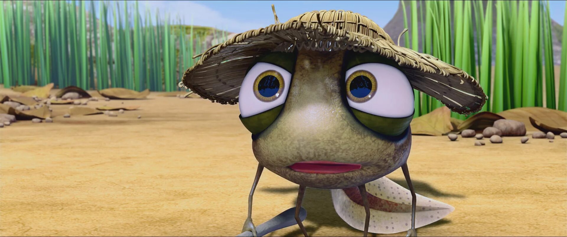 принцесса лягушка тайна волшебной. принцесса лягушка тайна волшебной. принцесса лягушка 2013. принцесса-лягушка тайна волшебной комнаты. тайну принцесса и лягушка.