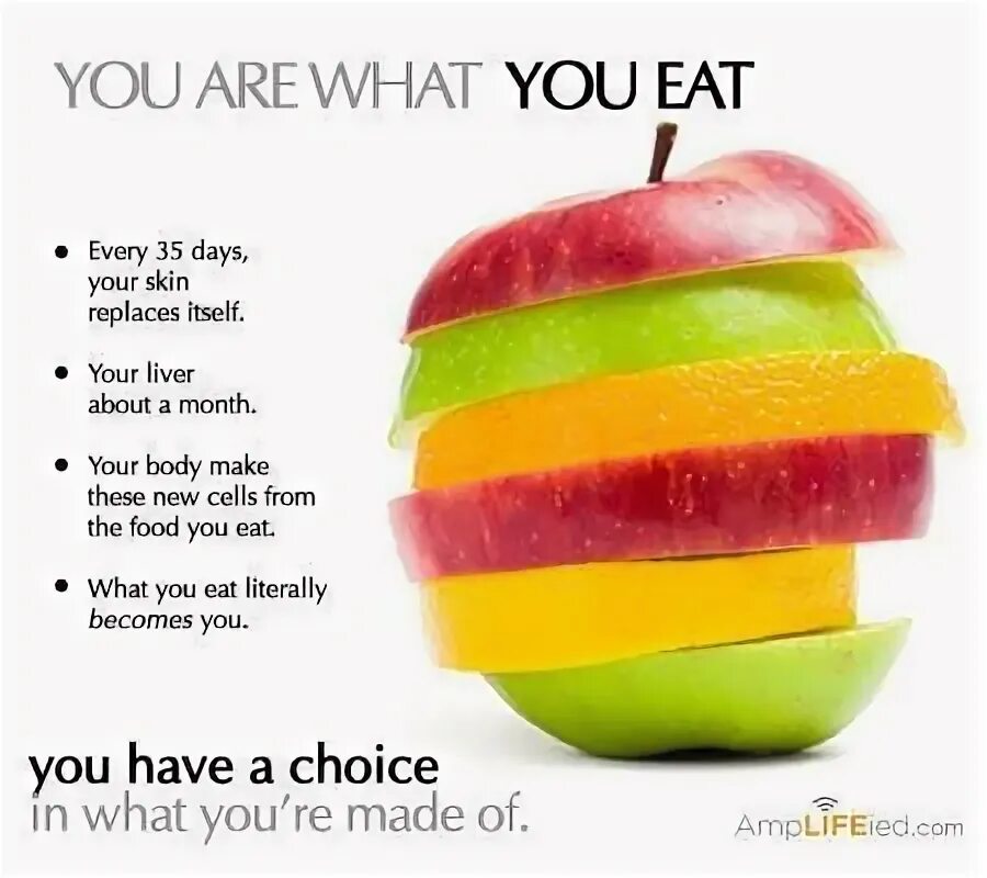 If you not eat food you die. You are what you eat проект. Проект по английскому на тему you are what you eat. You are what you eat картинки. You are what you eat ответы.