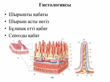 Ворсинки цифра 2