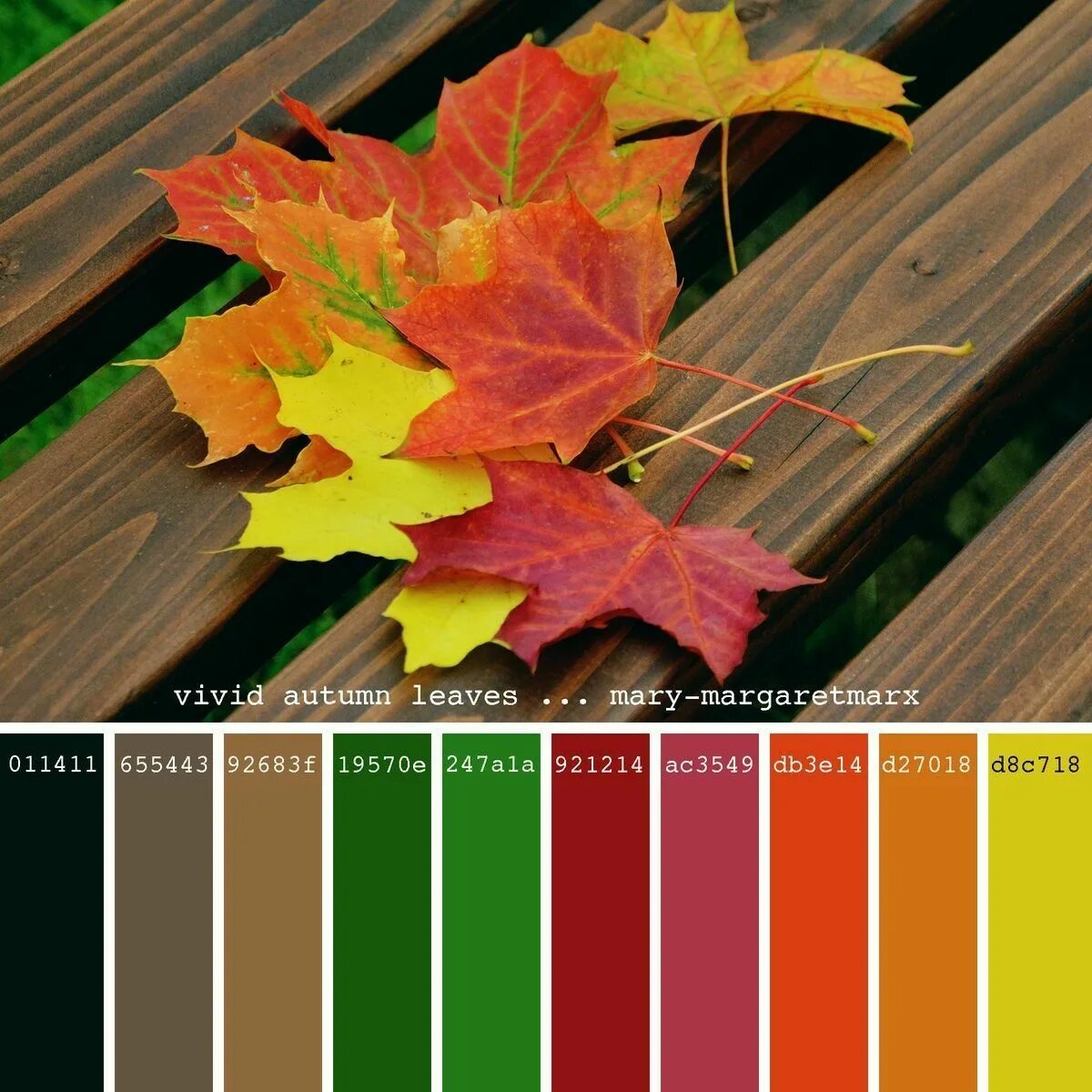 Палитра лист. Осенние цвета. Палитра осени. Осенняя цветовая палитра. Палитра осенних красок.