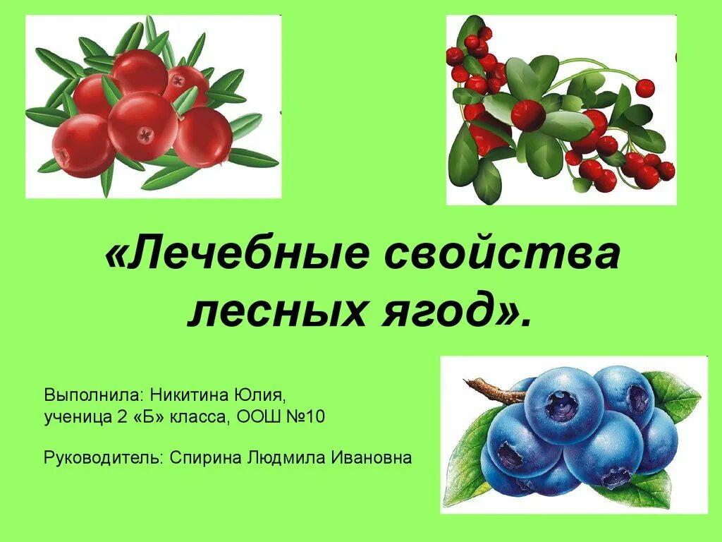 Лесные ягоды словами. Ягоды для презентации. Лечебные ягоды. Полезные ягоды леса. Полезные дикорастущие ягоды.