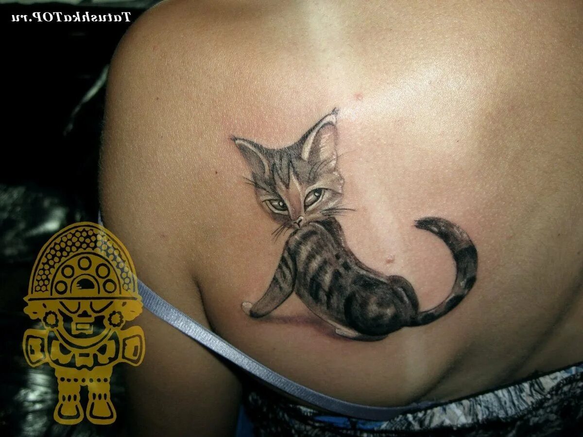 Девушка с котом. Тату кошка на животе. Тату кот на пузе. Тату кошка на животе. Тату кошка на животе.