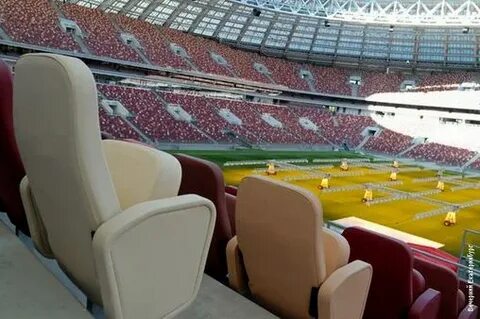 Лужники секции для детей