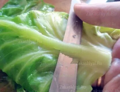 Можно использовать капустный лист