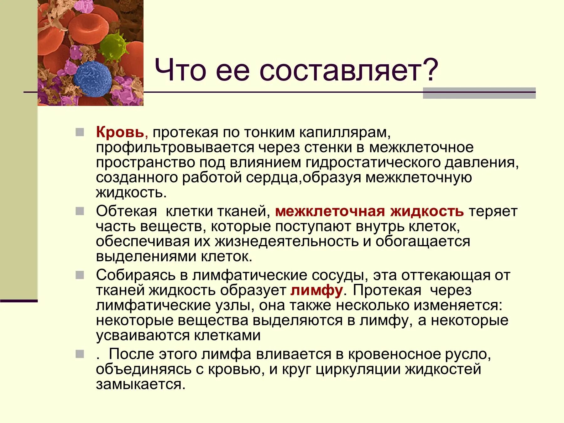 8 функций крови. Презентация на тему кровь. Состав крови презентация. Функции крови 8 класс.