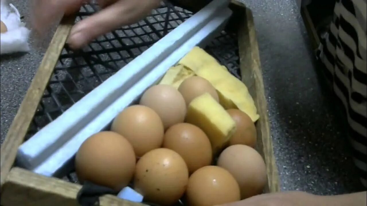 Сколько в день переворачивать яйца. Переворот яиц в инкубаторе. Переворот яиц в инкубаторе вручную. Переворачивание яиц в инкубаторе вручную.