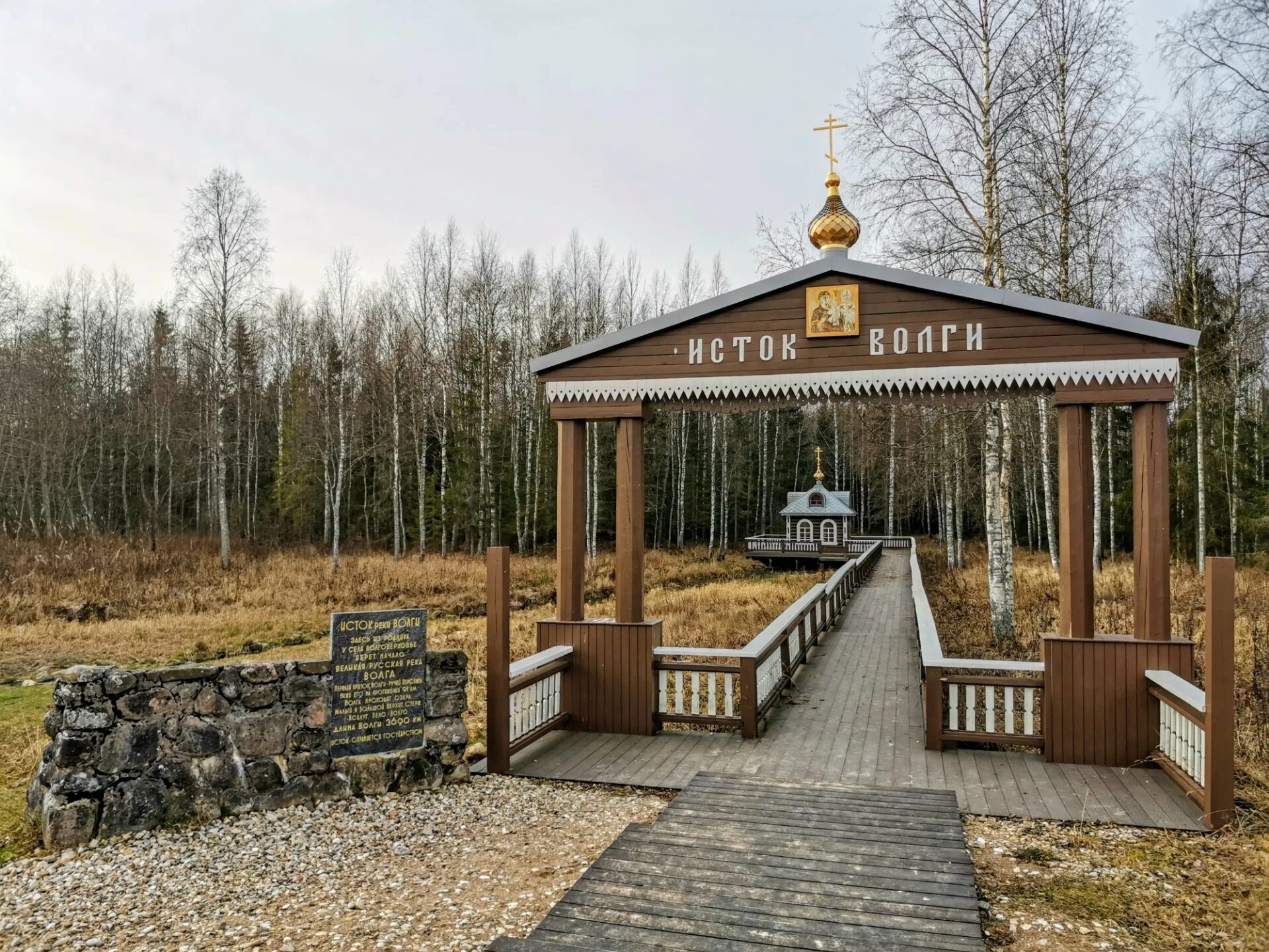 первый исток. первый исток. бочажина. волговерховье исток волги. истоки зарождения рабочего класса в россии.