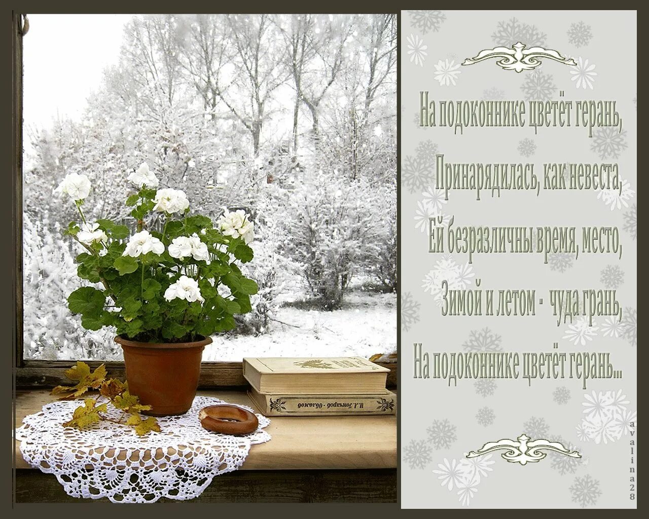 Цветы на зимнем окне. Снежное утро пожелания. Доброе утро снежок за окном. Уютного зимнего утра с пожеланиями. Зимнее воскресный день