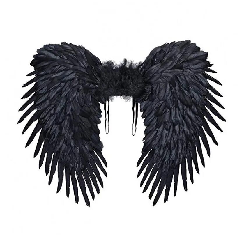 крылья ангела. темные крылья. крылья ангела черные. крылья ангела черные. черные крылья.