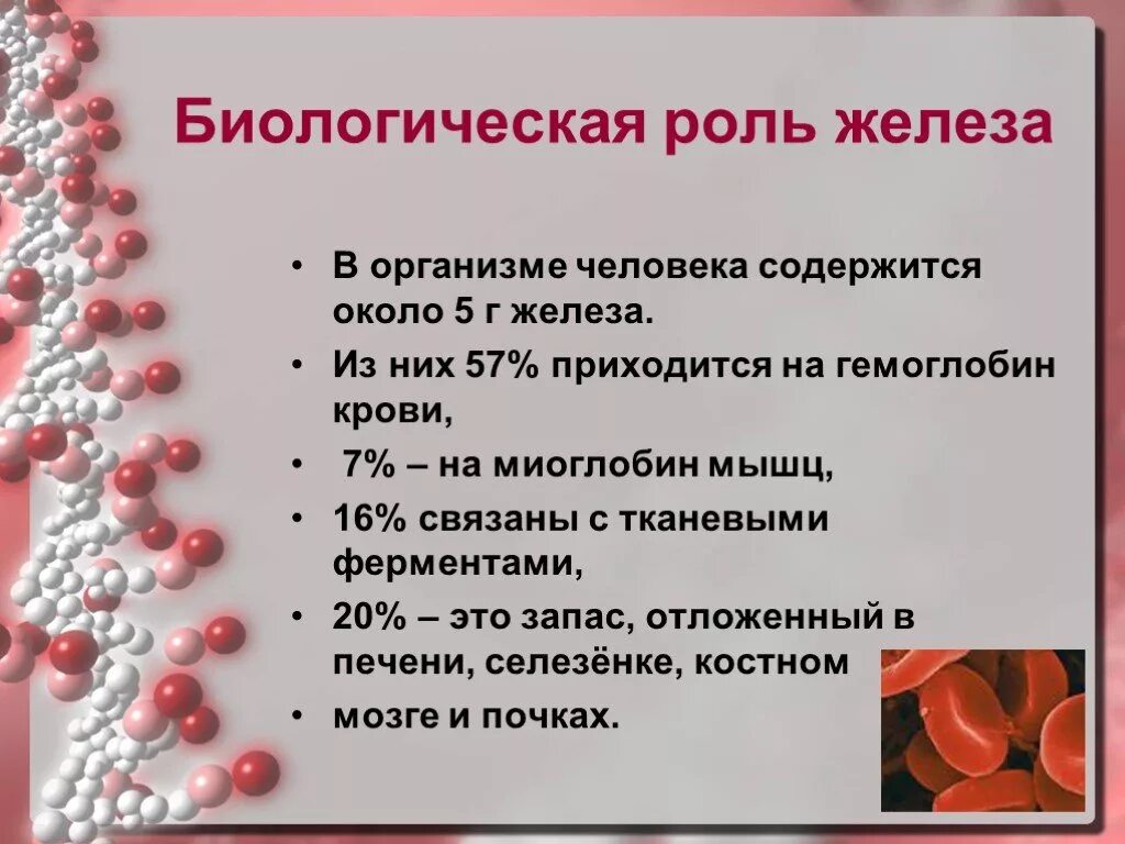 Роль железа в организме. Иоль желез в организме человека. Биологическая роль железа. Роль железа в крови человека.