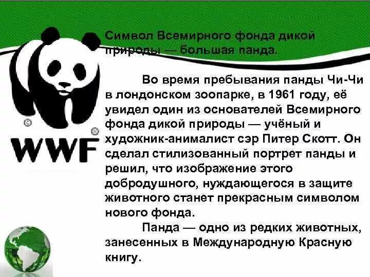 Панда символ фонда дикой природы. Всемирный фонд дикой природы задачи. Сообщение про фонд дикой природы. Международные экологические организации.
