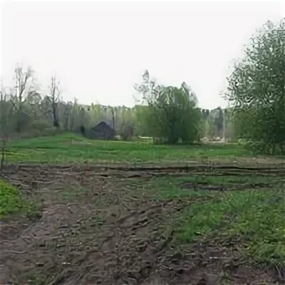 Кривцово 21