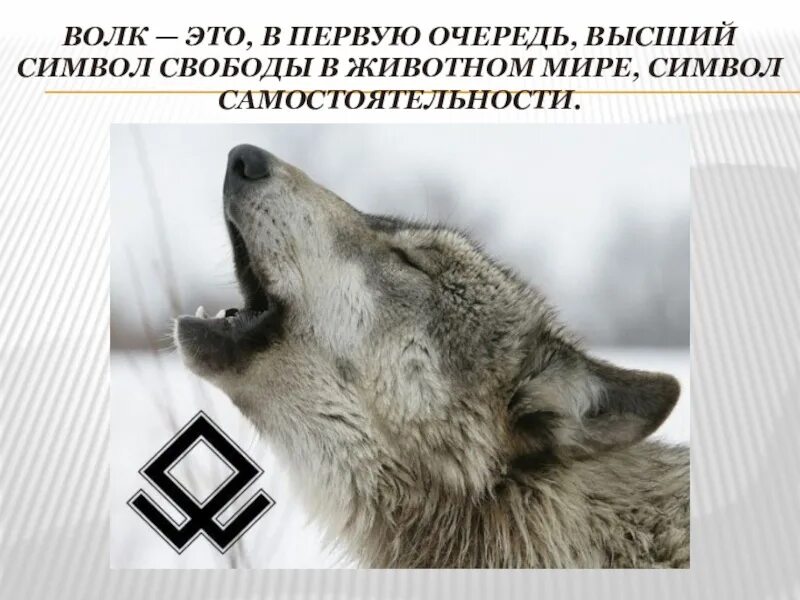 Славянские знаки. Славянский знак волка. Что символизирует волк. Знак волка у славян.