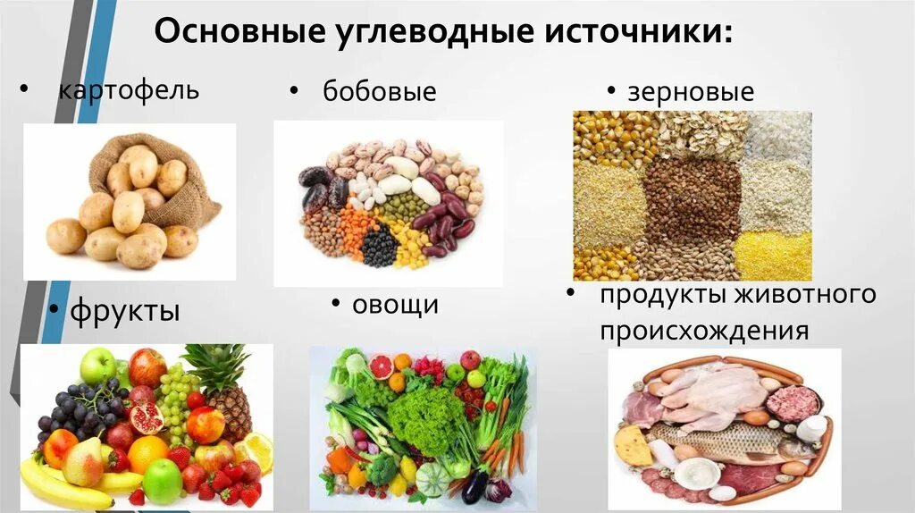 Отметь продукты растительного происхождения. Основные источники углеводов в питании. Основные пищевые источники углеводов. Источники углеводов в питании человека. Природные источники углеводов.