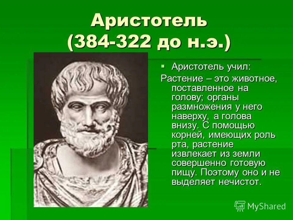 Аристотель (384 – 322 г.г. до н. э.). Аристотель древнегреческий философ. Аристотель годы жизни. Что изучал Аристотель.