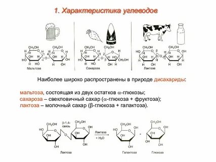 Углеводы глюкоза фруктоза сахароза конспект