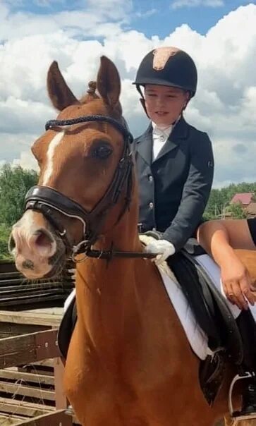 Бронницы михаила архангела. Верховая езда. Бронницы лошади. Игорь александрович бурганов скульптуры. Утро в бронницах.