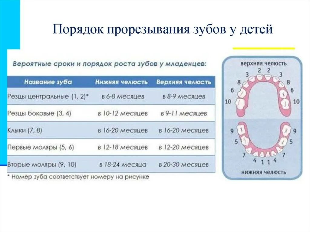 Прорезывание 8 зуба у детей