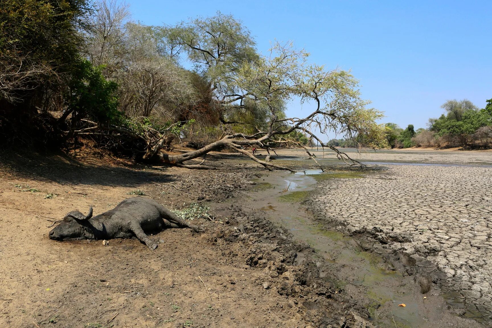 Первый ливень в африку приходит. Экологическая катастрофа.