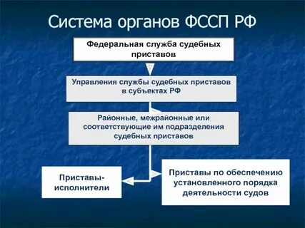 Федеральная служба исполнения судебных решений