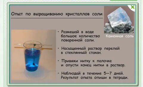 Полученный опыт стал