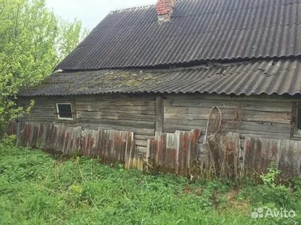 Погода переторги