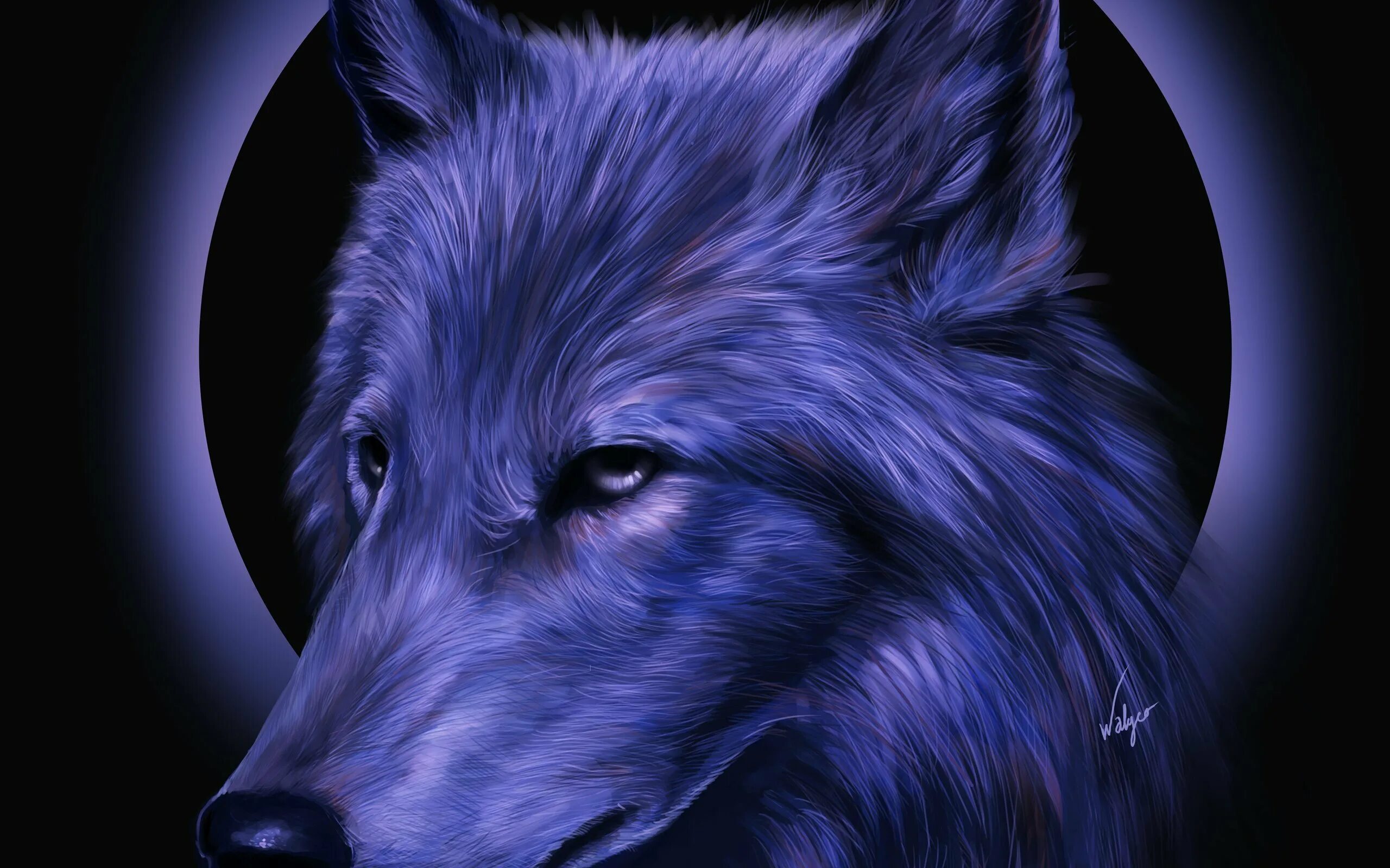 Красивые обои на телефон волк. Красивый волк. Синий волк. Картинки на рабочий стол волки. Красивая морда волка.