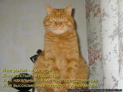 Называет меня золотом
